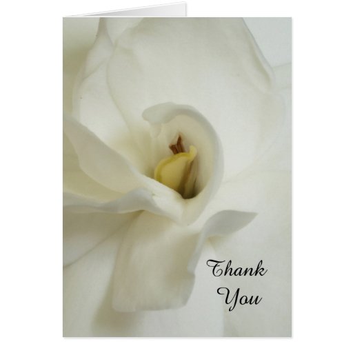 Gardenia Bereavement Sympathy Thank You Card