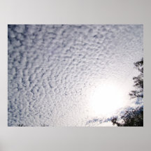 Gathering Cotton Posters