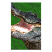 Gator Chomp Stationery Paper