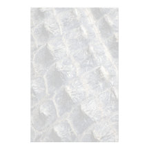 Gator Skin Custom Stationery