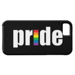 Gay Pride Case