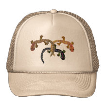 Gecko Desert Dance Hat