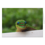 Gecko in the Tropics notecard