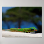 Gecko Lips 2 Poster