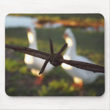 Geese Behind A Fence Mouse Pads