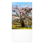 Geese Under Flowering Tree Photo Card Template