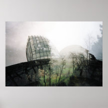 Gehry Forest Posters
