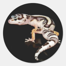 Gem Snow - Striped Bandit Stickers