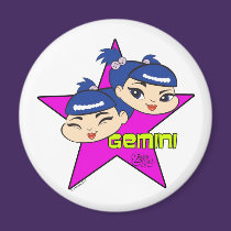 Gemini Magnet magnets