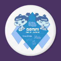 Gemini Magnet magnets