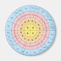 Genetic code magnet
