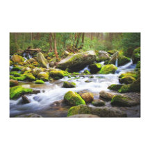 Gentle Waters Stretched Canvas Prints