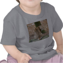 geoffroy-cat-004 shirts