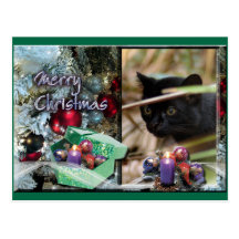 Geoffroy Cat Christmas Postcard