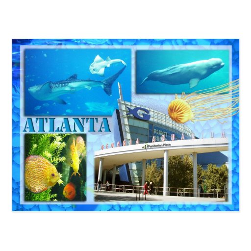 GEORGIA AQUARIUM, ATLANTA, GEORGIA POSTCARD