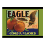 Georgia Eagle Peaches Postcard