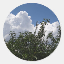 Georgia Peach Tree Fluffy White Clouds Round Stickers