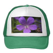 Geranium Hat