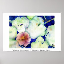 "Geranium Impressions No. 1" - Caroline Tigeress Posters