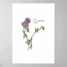 Geranium Poster