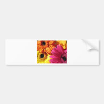 gerber-4 bumper stickers
