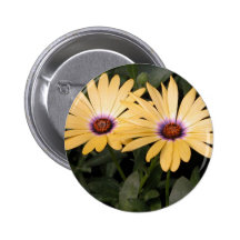 Gerber Daisey Pins