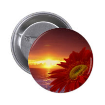 Gerber Daisy and sunset Button