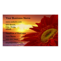 Gerber Daisy Business Card