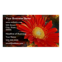 Gerber Daisy Business Card Templates