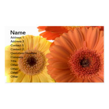 Gerber Daisy Business Cards