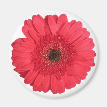 Gerber Daisy Fridge Magnet
