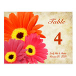 Gerber Daisy Table Number Card Post Cards