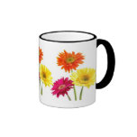 Gerbera Daisies Mugs