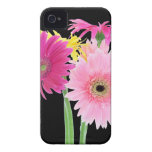 Gerbera Daisies Pink iPhone 4 Case-Mate Cases