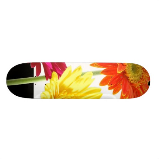 Gerbera Daisies Skateboards