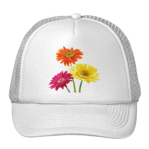 Gerbera Daisies Trucker Hats