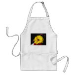 Gerbera Daisy 1 Aprons