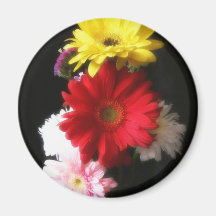 Gerbera Daisy 2 Magnets