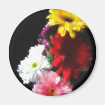 Gerbera Daisy 3 Fridge Magnet