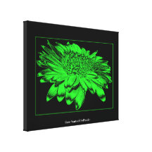 Gerbera Daisy "Chrome" Effect Wrapped Canvas Print