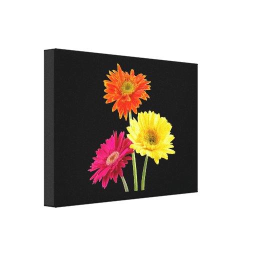 Gerbera Daisy Delight Gallery Wrapped Canvas