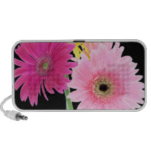 Gerbera Daisy Flowers iPod Speakers