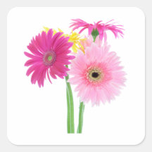 Gerbera Daisy Flowers Square Stickers