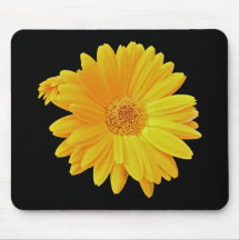 Gerbera Daisy (Gerbera hybrida) - Yellow Mousepad