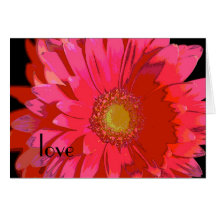 Gerbera Daisy Love Card