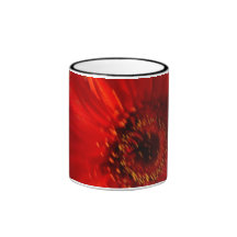 Gerbera Daisy Mug