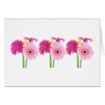 Gerbera Daisy Piink Flowers Greeting Card