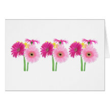 Gerbera Daisy Piink Flowers Greeting Card