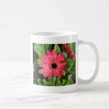 Gerbera Daisy Pink Mugs