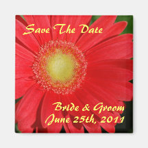 Gerbera Daisy Save The Date Magnet